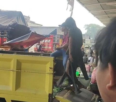 Video ODGJ Masih Kerja Jadi Kuli Angkut di Pasar Bikin Netizen Kagum Sekaligus Merasa Tertampar: 'Yang Waras Masih Males-malesan'