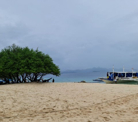 3 Recommended Beaches in Coron Island, Soft White Sand Like Powder