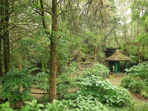 Diduga Pernah Jadi Tempat Pertapaan Soeharto, Ini Potret Gua Semar di Dataran Tinggi Dieng