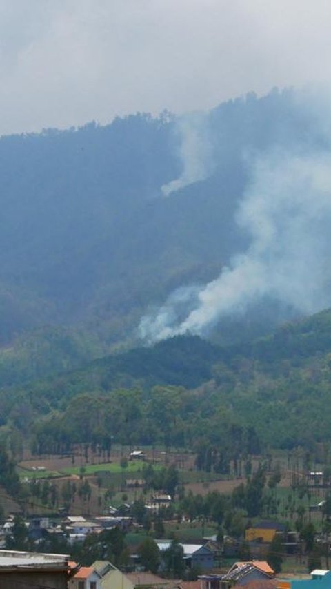 Kebakaran Hutan Muncul di Lereng Gunung Semeru