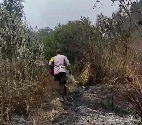 Kebakaran Hutan Muncul di Lereng Gunung Semeru
