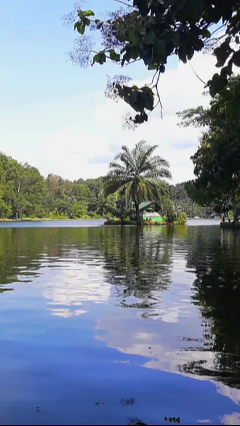 Dipenuhi Pepohohan Syahdu, Situ Gede Cocok Jadi Wisata Introvert di Kota Bogor