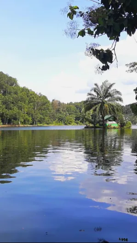 Dipenuhi Pepohohan Syahdu, Situ Gede Cocok Jadi Wisata Introvert di Kota Bogor