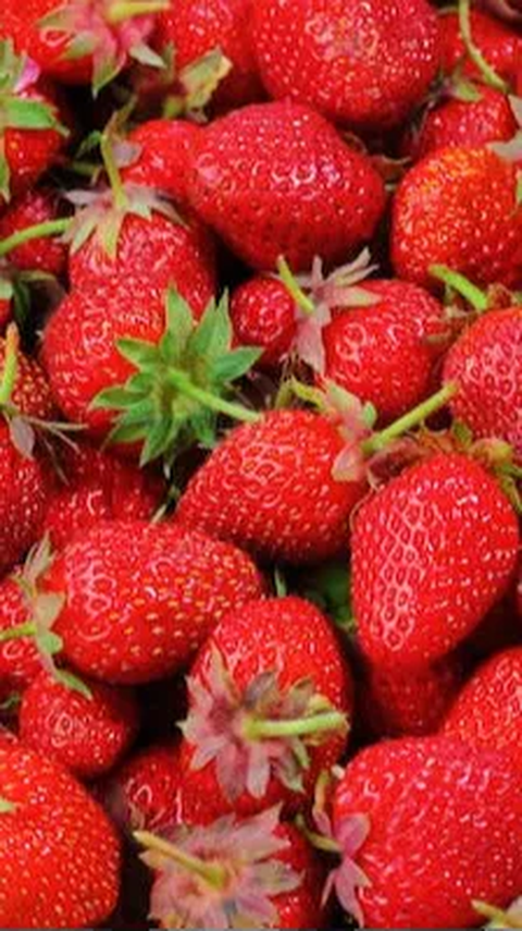 Apa Itu Strawberry Generation? Mengapa Mereka Rapuh? Ini Penjelasannya