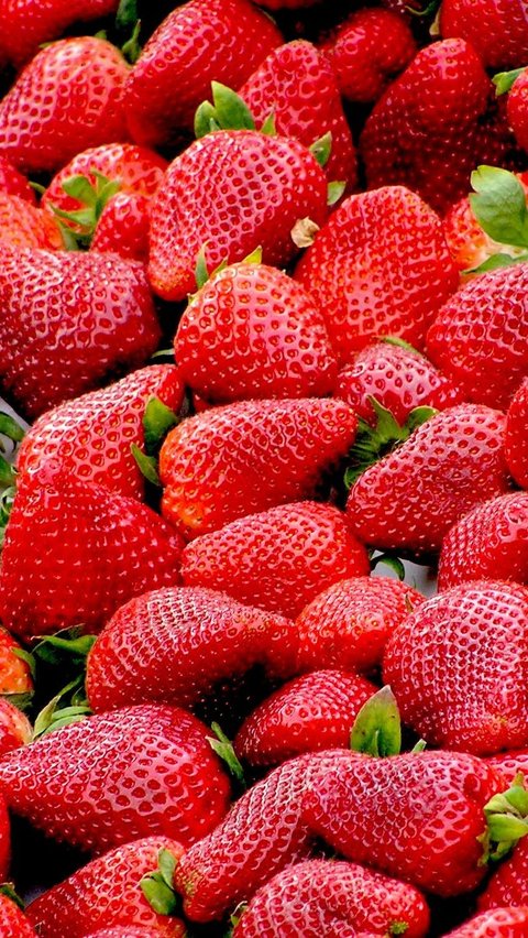 Strawberry Generation mungkin menghadapi tantangan unik, tetapi dengan pendekatan yang tepat dari semua pihak, mereka dapat menjadi generasi yang tangguh, kreatif, dan mampu mengatasi perubahan zaman.