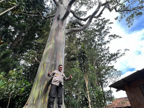 Potret Gagah Jenderal Bintang 2 Foto di Depan Rumah Anak Buahnya 'Di Bawah Teduhnya Pohon Eukaliptus'