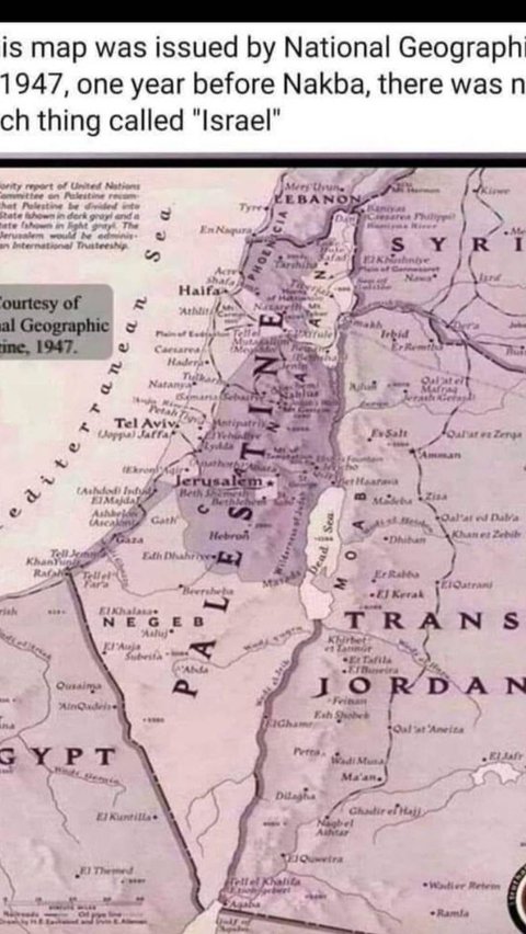 Hamas Vs Israel War, Long History of the Palestine-Israel Conflict