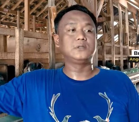 Kisah Polisi di Pemalang Ternak Kambing Perah, Hasilkan Seribu Liter per Bulan dan Dilirik Supplier Pabrik Susu Ternama