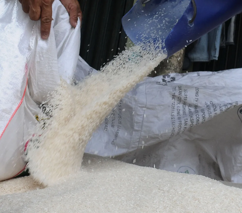 Kasus Dugaan Beras Sintetis di Sumatera Barat, Ini Hasil Uji Laboratorium