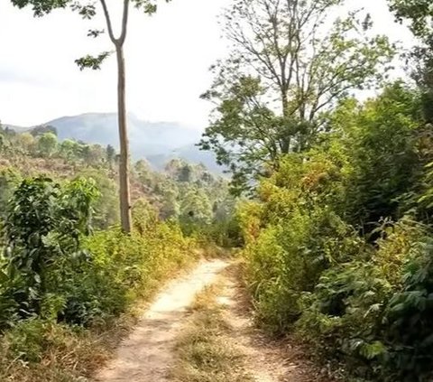 Dulunya Lokasi Pertempuran Polisi Melawan Belanda, Ini Kisah Kampung Lansia di Lereng Gunung Wilis