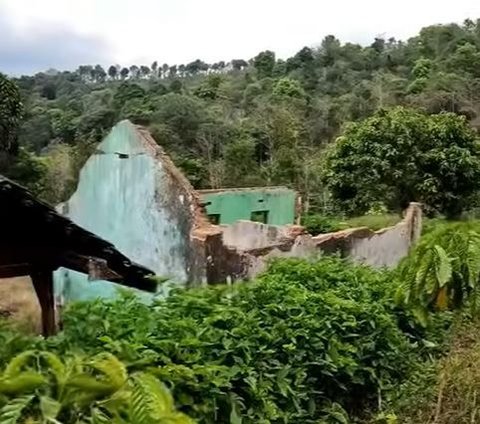 Dulunya Lokasi Pertempuran Polisi Melawan Belanda, Ini Kisah Kampung Lansia di Lereng Gunung Wilis