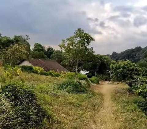 Dulunya Lokasi Pertempuran Polisi Melawan Belanda, Ini Kisah Kampung Lansia di Lereng Gunung Wilis