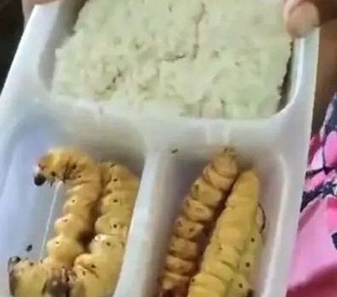 Viral Bekal Ulat Sagu Siswa Ini Bikin Teman Sekelasnya Geli, Padahal Ada Segudang Manfaat buat Kesehatan