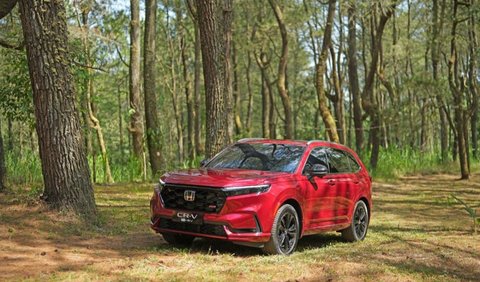 Diketahui, All New Honda CR-V generasi keenam ini memiliki dua jenis varian, yakni e:HEV yang memadukan tenaga listrik dan mesin BBM, serta varian Turbo.<br>