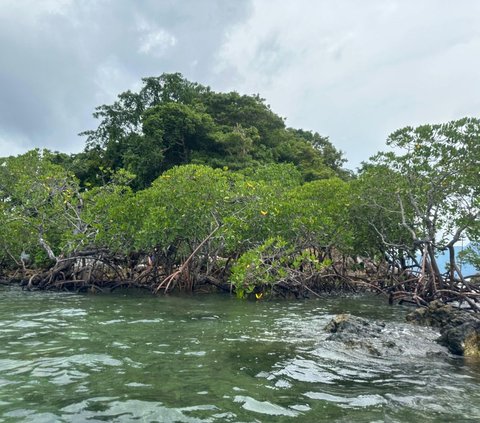 Keseruan saat Berkunjung ke CYC Beach Filipina, Bikin Betah Gak Mau Pulang