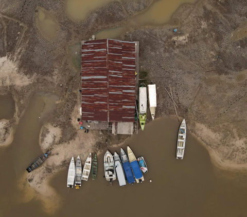 FOTO: Penampakan Sungai Amazon Kering Kerontang, Paling Parah Sejak 121 Tahun Terakhir