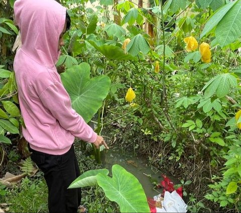 Ingin Viral, ABG Perempuan di Kalbar Bakar Bendera Merah Putih