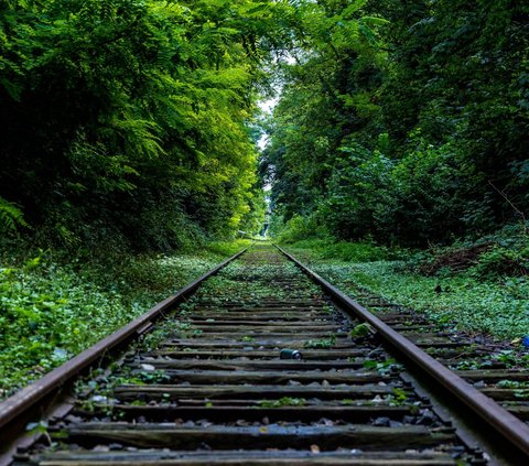 Dilansir dari laporan <i>Railway Technology</i>, Rabu (18/10), berikut beberapa jalur kereta yang dianggap paling berbahaya di dunia: