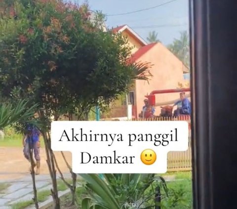 Melihat ada ular di plafon rumahnya, ia memilih untuk memanggil damkar. Akhirnya, seregu damkar pun datang ke rumahnya dan siap menangkap hewan yang ada di plafon rumah tersebut.