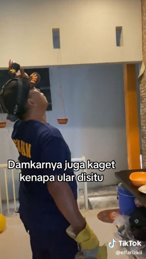 Wanita Ini Datangkan Regu Damkar Usai Lihat Ular di Plafon Rumah, Endingnya Tak Terduga