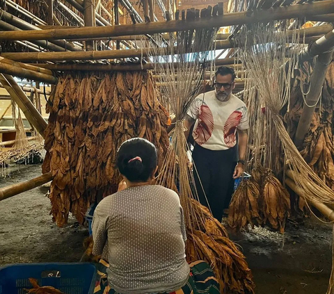 Aturan Produk Tembakau Dikhawatirkan Berdampak ke Maraknya Rokok Ilegal