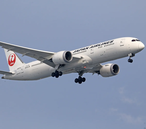 Kelebihan Beban, Japan Airlines Tambah Penerbangan Buat Angkut 27 Pesumo