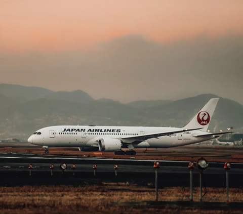 Kelebihan Beban, Japan Airlines Tambah Penerbangan Buat Angkut 27 Pesumo