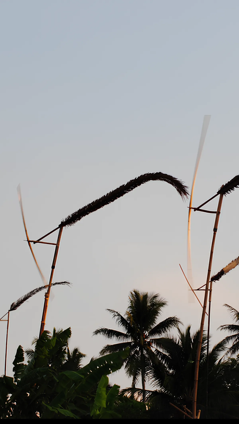 Tradisi Masyarakat Sunda saat Musim Kemarau, Pasang Kincir Angin dari Bambu