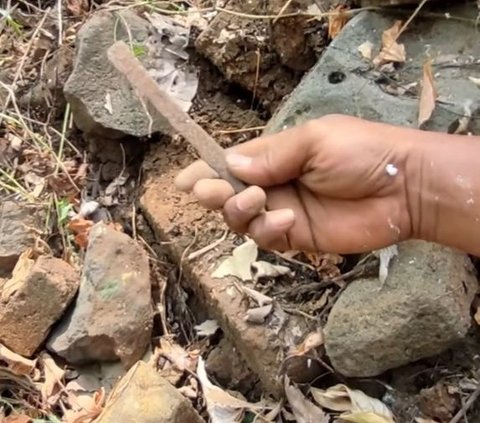 Hutan Jati di Mojokerto Ini Diduga Kampung Kerajaan yang Hilang, Petani Tak Sengaja Temukan Harta Karun