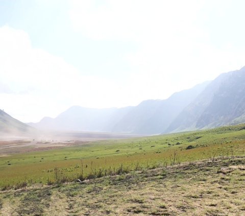 Savana Gunung Bromo Mulai Hijau Kembali, Kunjungan Wisatawan Belum Pulih