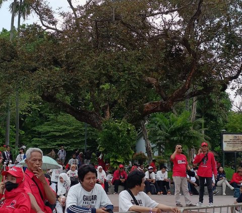 Ganjar-Mahfud Mau Orasi, Banyak Relawan Berteduh di Bawah Pohon Berkali-kali Ditegur