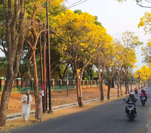 Jalan di Kota Batu Seperti Musim Semi di Jepang