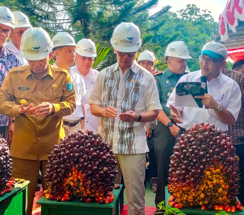 Kembangkan Minyak Goreng Merah, PTPN III Bangun Pabrik Kelapa Sawit Mini di Lahan 1.000 Hektare