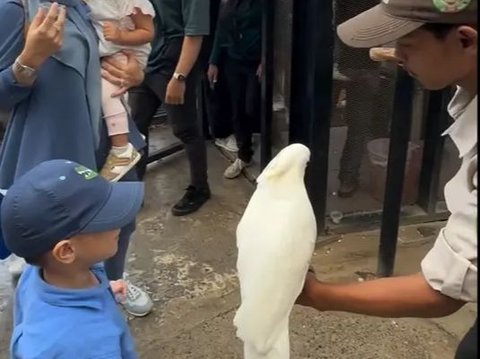 Meskipun Suami Telah Bebas, Irish Bella Ajak Anak Ke Kebun Binatang Tanpa Ammar Zoni