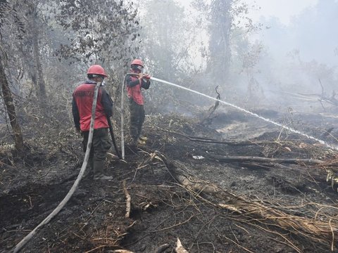 Viral Selebgram Palembang Dukung Pembakaran Lahan hingga Anggap Remeh Bahaya Kabut Asap, Netizen Geram