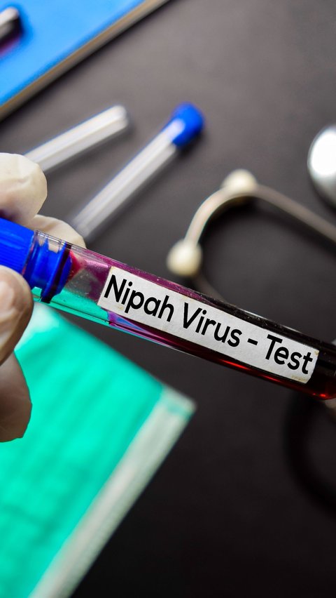 The Danger of Nipah Virus, Its Origin and Deadly Effects on Humans
