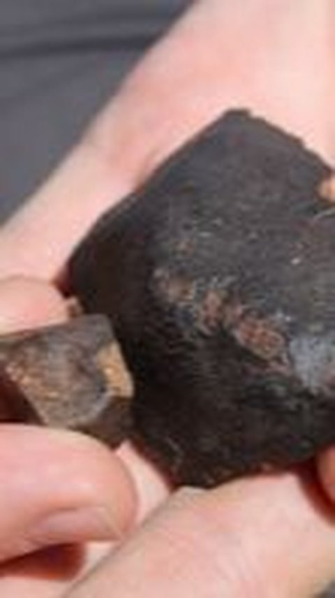 Sedang Berladang, Seorang Petani Temukan Dua Batu Meteor Berusia 4.567 Miliar Tahun 