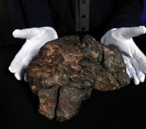 Sedang Berladang, Seorang Petani Temukan Dua Batu Meteor Berusia 4.567 Miliar Tahun