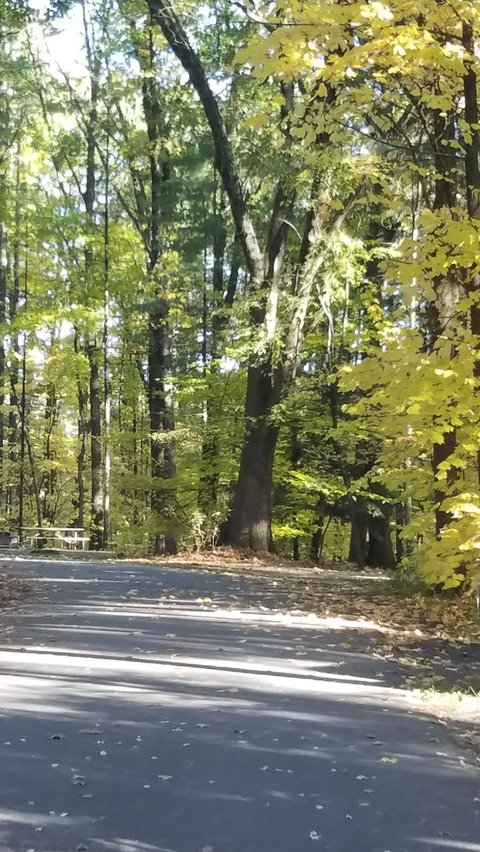 Sudah 2 Hari Bocah Perempuan Hilang di New York, Sepedanya Tergeletak di Jalan