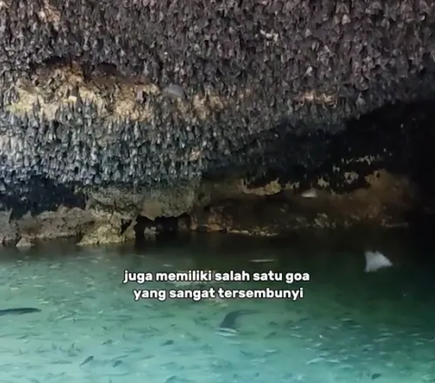 Goa Ini Dulunya jadi Tempat Persembunyian Zaman Belanda, Sekarang Penuh Kelelawar dan Ikan yang Tak Boleh Dimakan