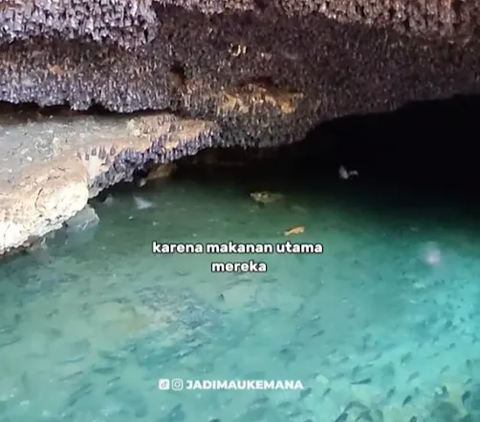 Goa Ini Dulunya jadi Tempat Persembunyian Zaman Belanda, Sekarang Penuh Kelelawar dan Ikan yang Tak Boleh Dimakan