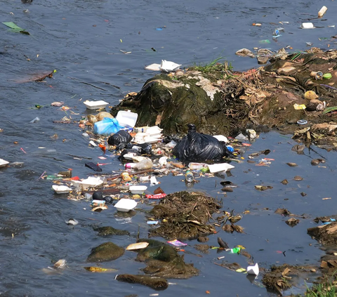 FOTO: Dulu Meluap hingga Membanjiri Ibu Kota, Kini Kondisi Aliran Kali Ciliwung Menyusut dan Menghitam Akibat Banyak Sampah