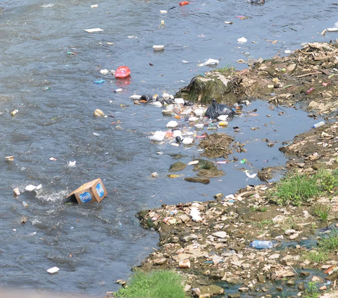 FOTO: Dulu Meluap hingga Membanjiri Ibu Kota, Kini Kondisi Aliran Kali Ciliwung Menyusut dan Menghitam Akibat Banyak Sampah