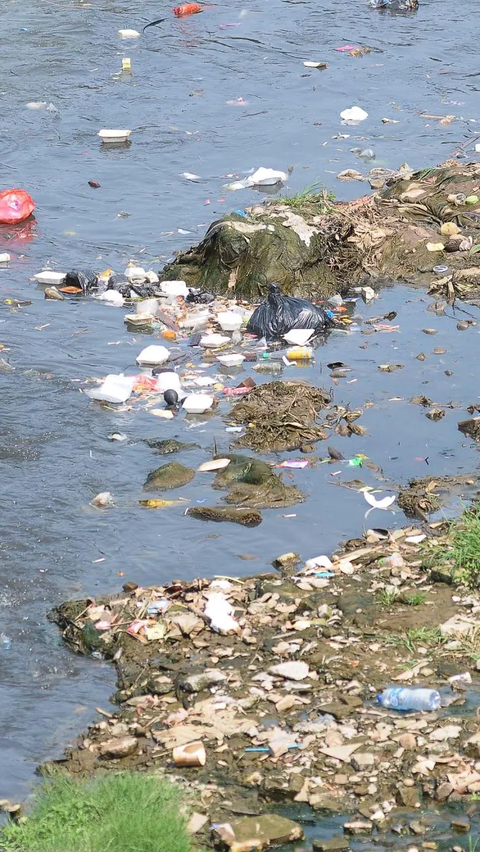 Sampah-sampah styrofoam juga terlihat pada aliran kali Ciliwung yang menyusut.