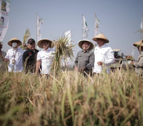 Plt Mentan Dorong Pembangunan Ekosistem Pangan Nasional