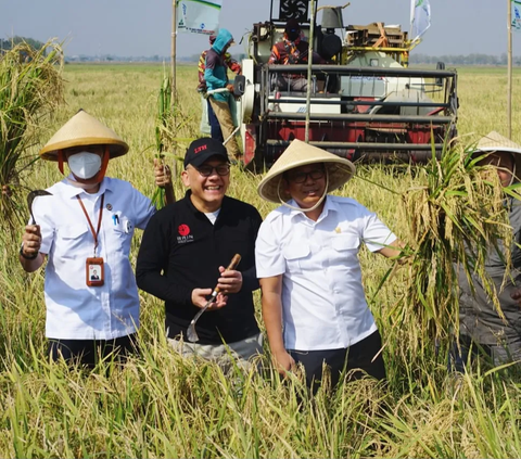 Plt Mentan Dorong Pembangunan Ekosistem Pangan Nasional