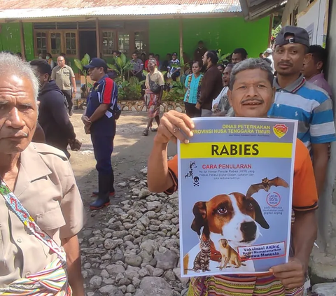 Kasus Kematian Akibat Rabies Meningkat Usai Lockdown Covid-19 Dihentikan