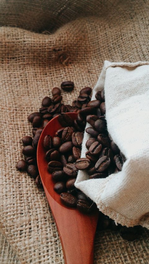 Perbedaan Robusta dan Arabika dan Karakteristiknya, Pencinta Kopi Wajib Tahu<br>