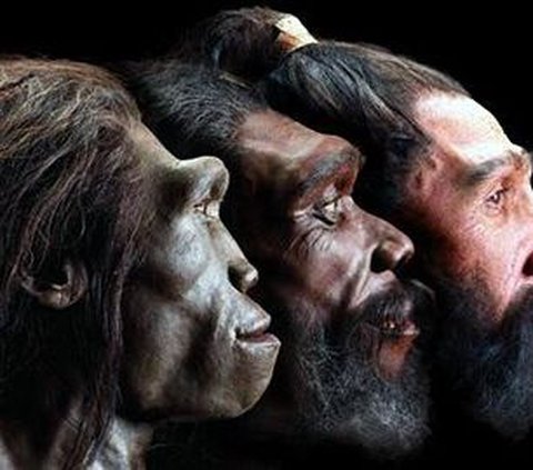 Temuan DNA Kuno Ungkap Proses Kawin Silang Antar Manusia Purba