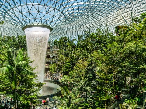 5 Kegiatan Menarik di Bandara Changi Singapura, Dijamin Nggak Bosan Saat Transit